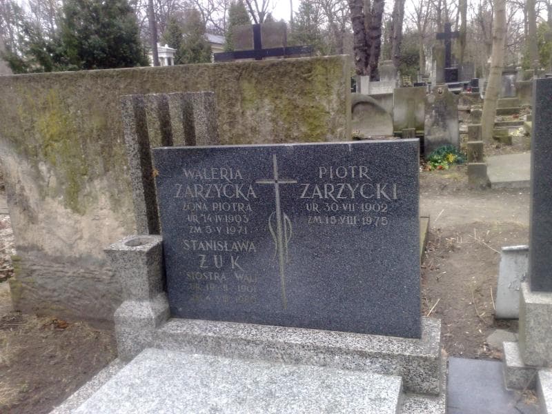 Zdjęcie grobu Stanisława Żuk (1)