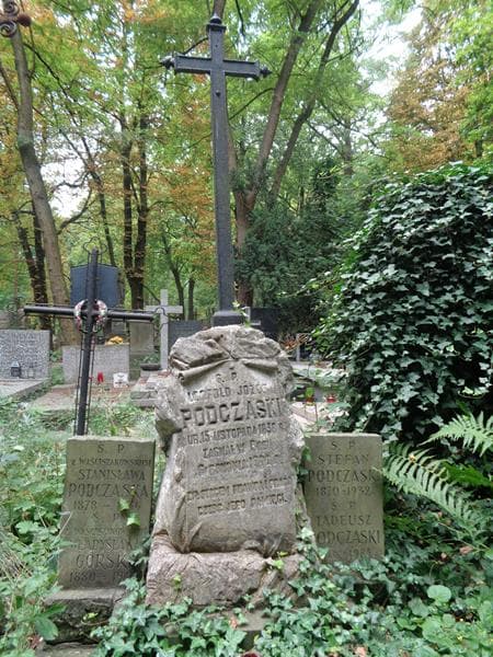 Zdjęcie grobu Stefan Podczaski (2)