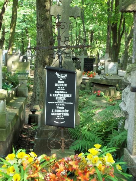 Zdjęcie grobu Wanda Seredyńska (2)
