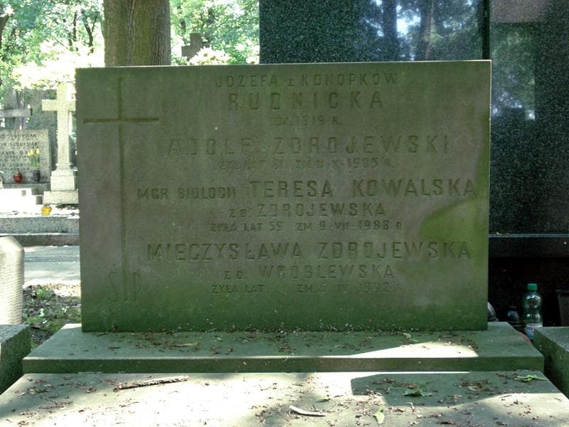 Zdjęcie grobu Adolf Zdrojewski (1)