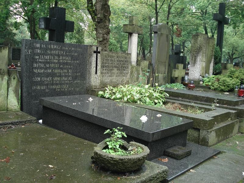 Zdjęcie grobu Władysław Nowakowski (1)