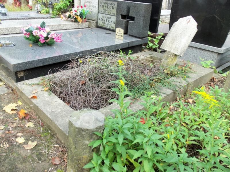 Zdjęcie grobu Tadeusz Bormann (1)