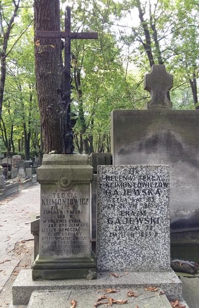 Zdjęcie grobu Teofil Klimontowicz (2)