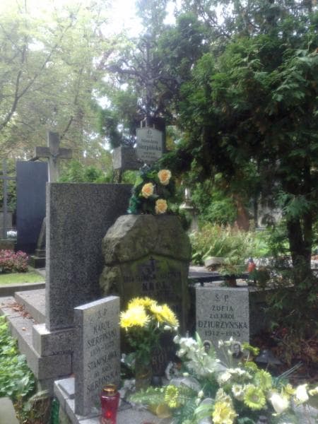 Zdjęcie grobu Stanisława Król (1)