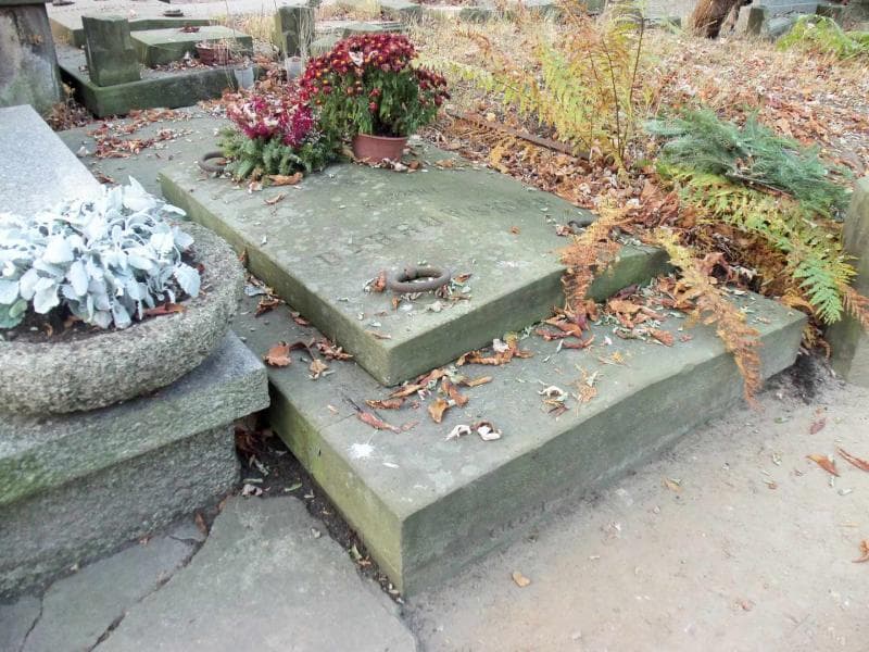 Zdjęcie grobu Dąbrowscy (1)