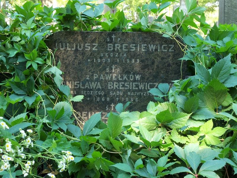 Zdjęcie grobu Bronisława Bresiewiczowa (2)