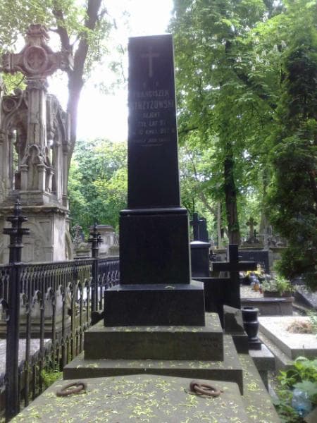 Zdjęcie grobu Franciszek Strzyżowski (2)