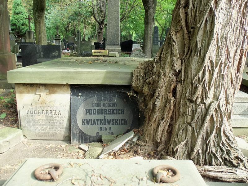 Zdjęcie grobu: Józefa Podgórska