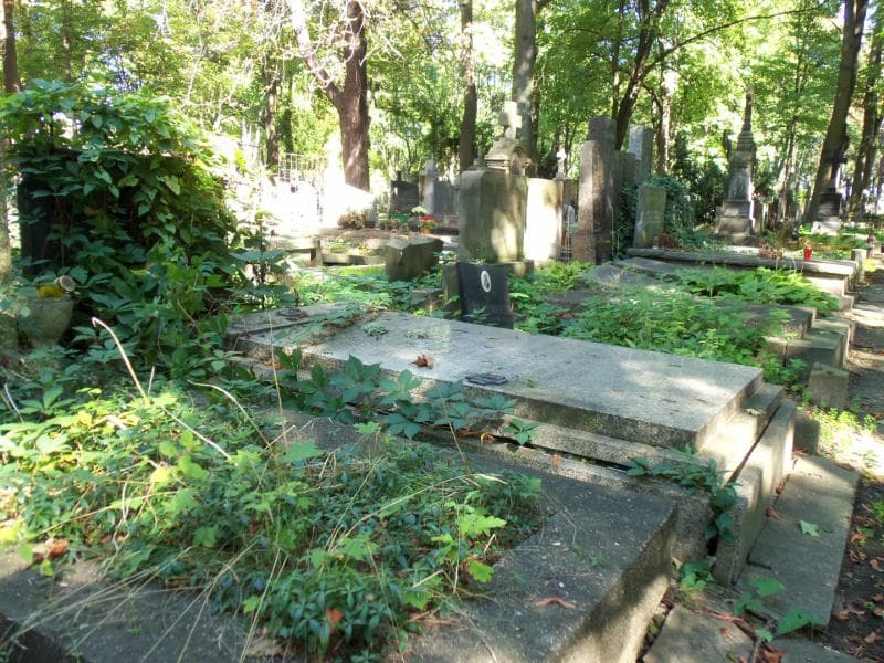 Zdjęcie grobu Kazimierz Darnikiewicz (2)