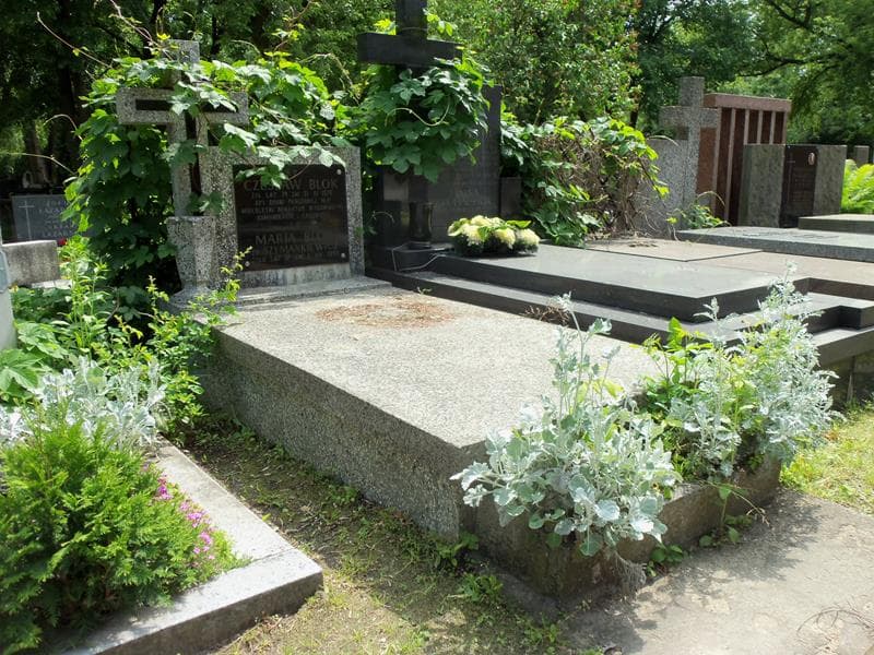 Zdjęcie grobu Maria Blok (1)
