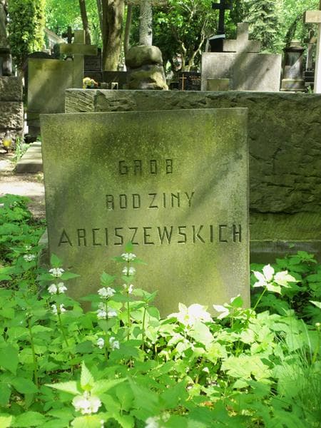 Zdjęcie grobu Arciszewscy (2)