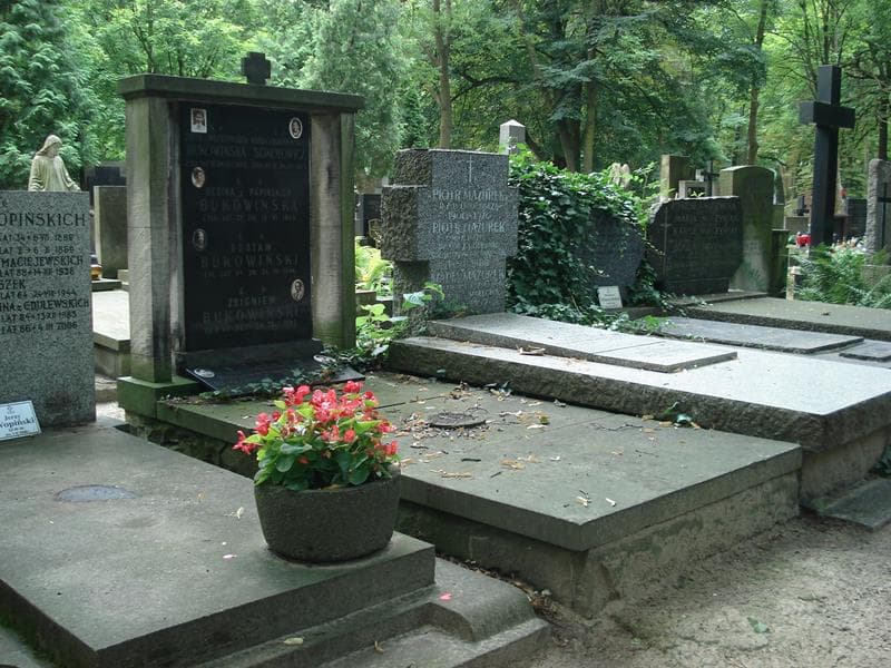 Zdjęcie grobu Zofia Bukowińska (1)