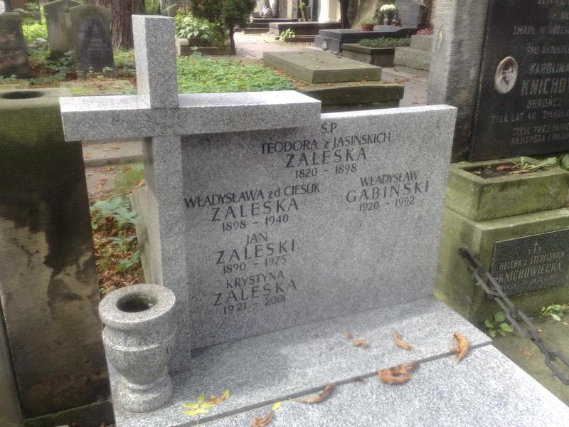 Zdjęcie grobu Władysław Gabiński (1)