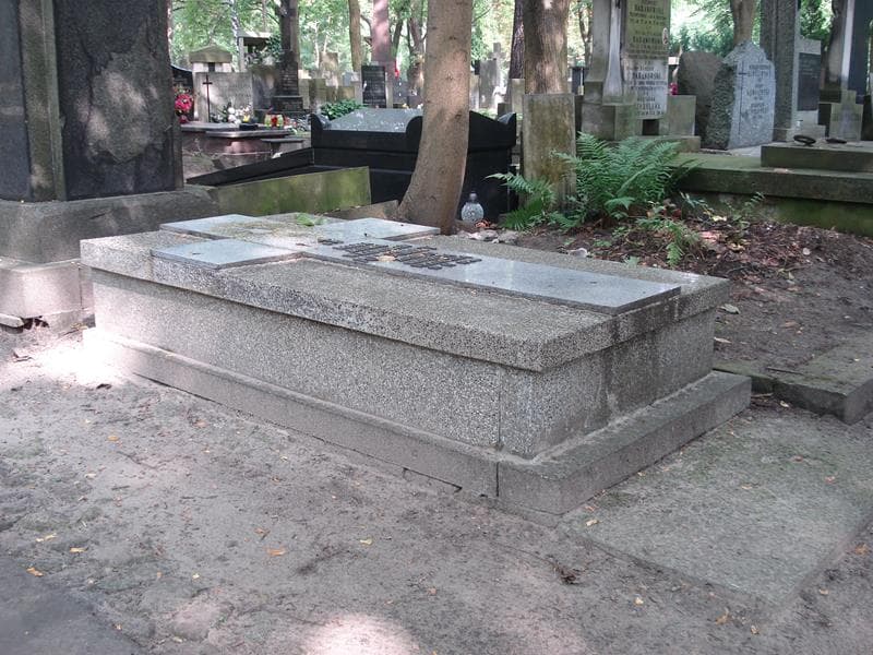 Zdjęcie grobu Władysław Podgórski (1)