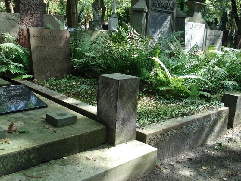 Zdjęcie grobu Maria Hanicka (1)