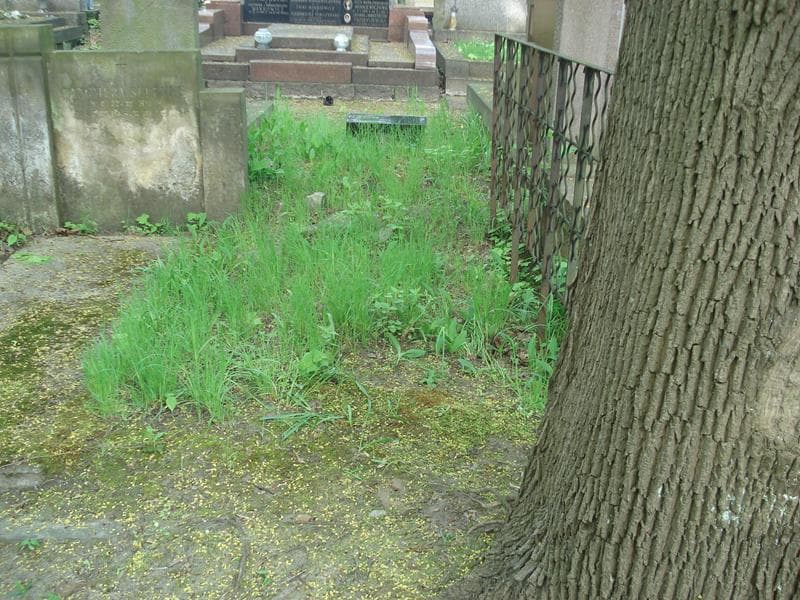 Zdjęcie grobu: Pole Grobowe