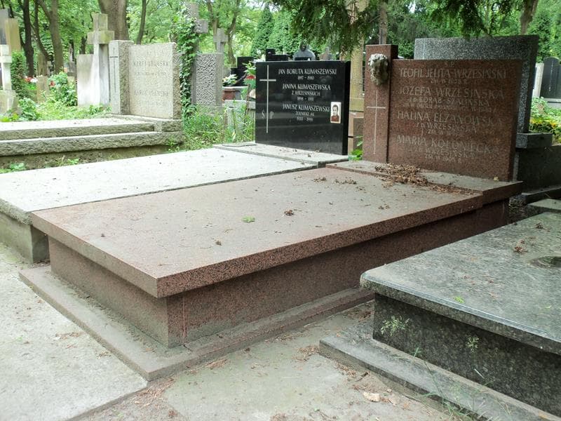 Zdjęcie grobu Teofil Jelita-Wrzesiński (1)