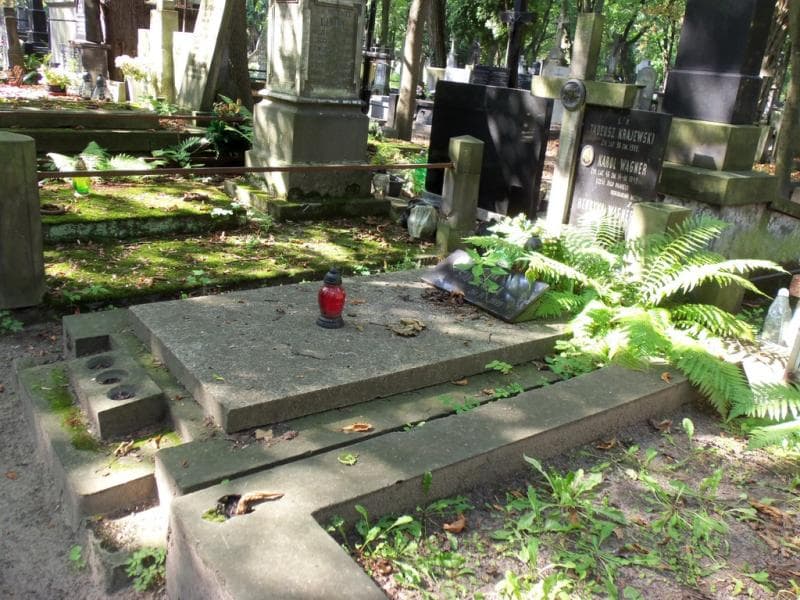 Zdjęcie grobu Karol Wagner (1)