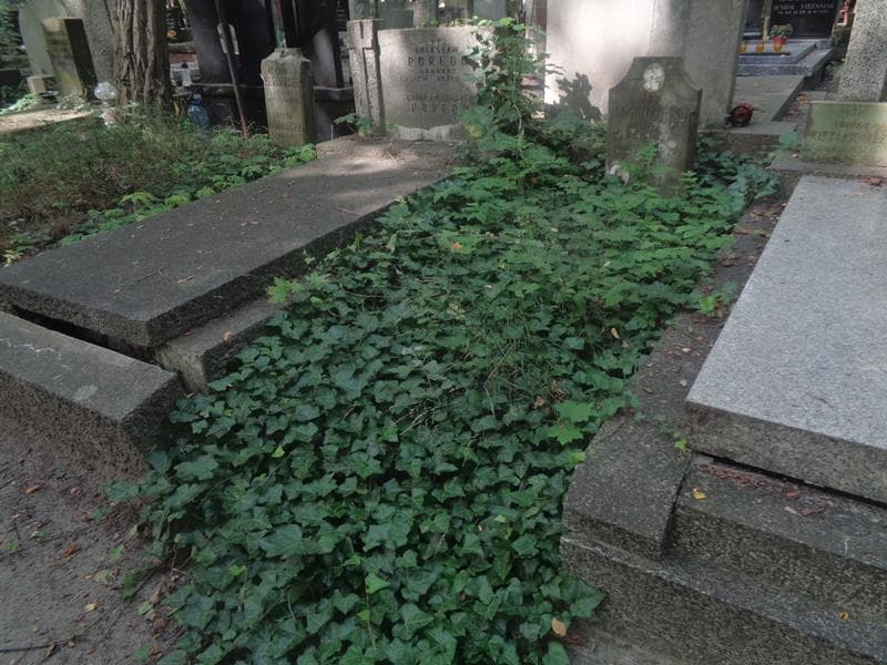 Zdjęcie grobu: Jan Jagodziński