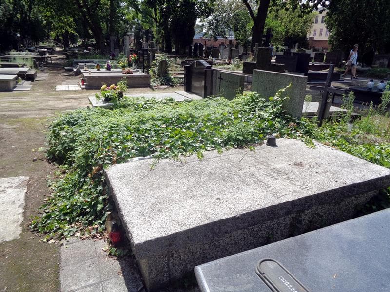 Zdjęcie grobu: Eufemia Delofe