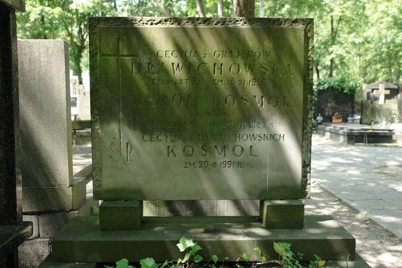 Zdjęcie grobu Cecylia Dławichowska (2)