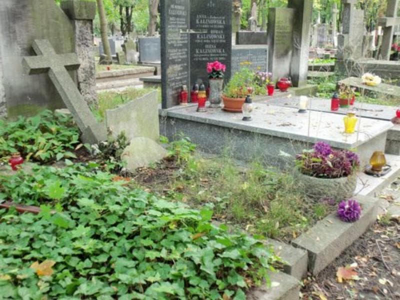 Zdjęcie grobu Walerya Majewska (1)