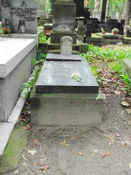 Zdjęcie grobu: Marya Czyńska