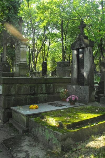 Zdjęcie grobu Janina Frąckiewicz (1)