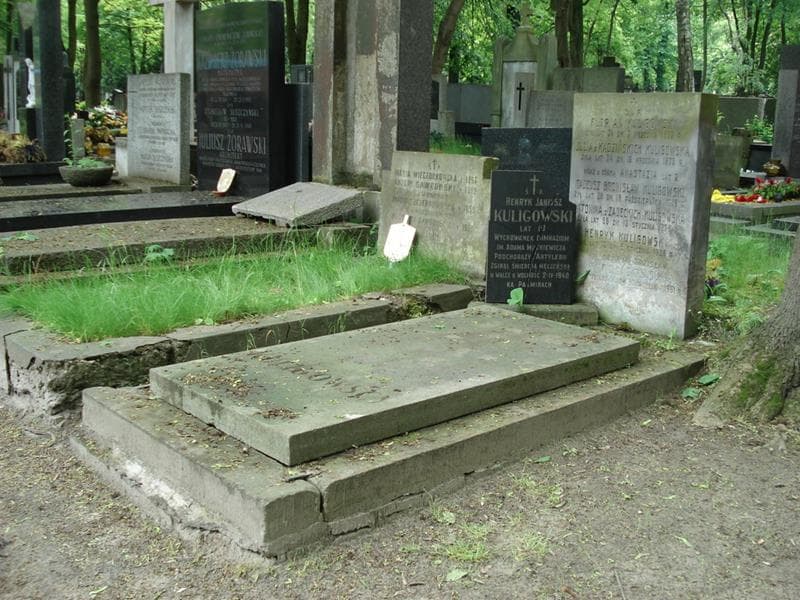 Zdjęcie grobu: Tadeusz Bronisław Kuligowski