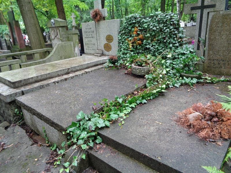 Zdjęcie grobu: Stanisław Wapiński