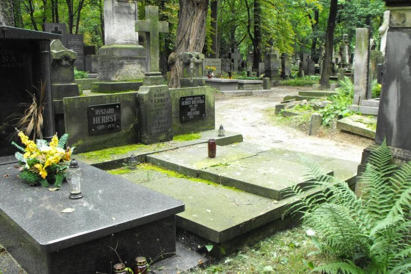 Zdjęcie grobu Berta Herbst (2)