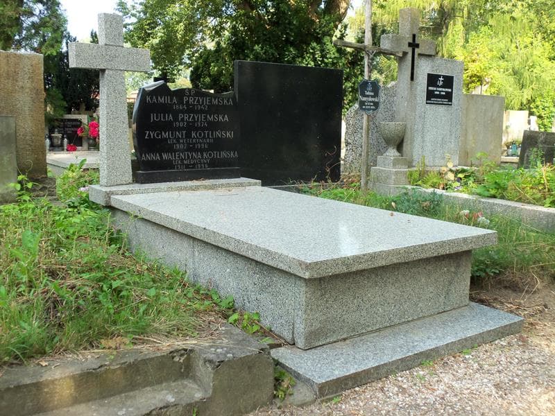 Zdjęcie grobu Julia Przyjemska (1)