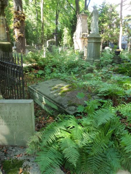 Zdjęcie grobu Józef Jakób Guranowski (1)