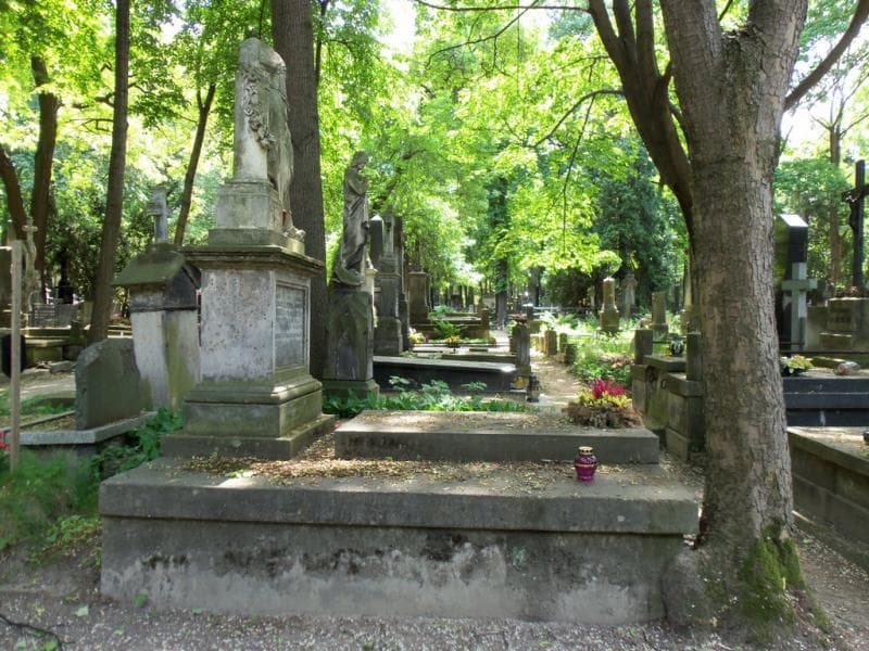 Zdjęcie grobu Stefan Dąbrowski (1)