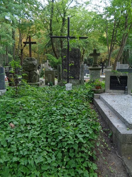 Zdjęcie grobu Aleksandra Trzcińska (1)