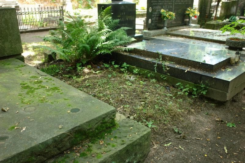 Zdjęcie grobu Pole Grobowe (1)