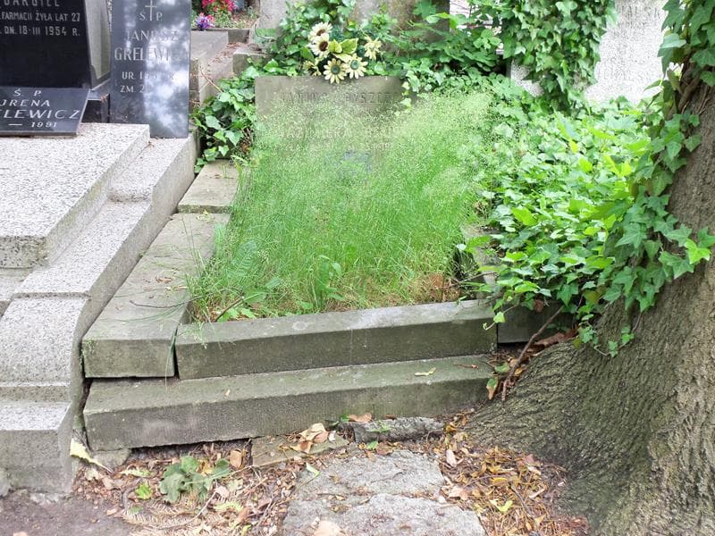 Zdjęcie grobu: Kazimiera Bekier