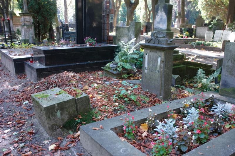 Zdjęcie grobu Michał Szczytt (1)