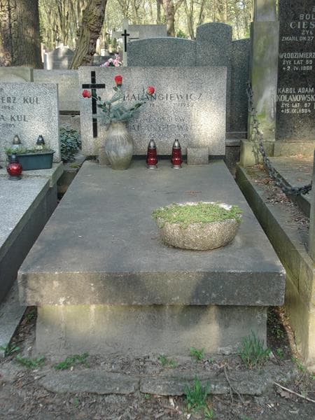 Zdjęcie grobu: Stanisława Malangiewicz