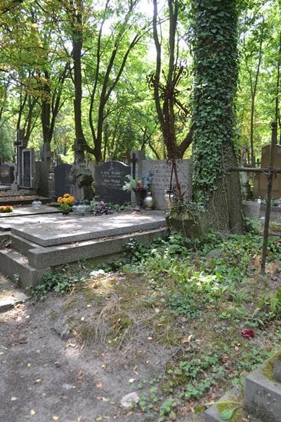 Zdjęcie grobu: ... Ulatowska