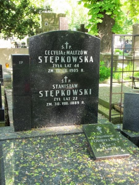 Zdjęcie grobu Stanisław Stępkowski (2)