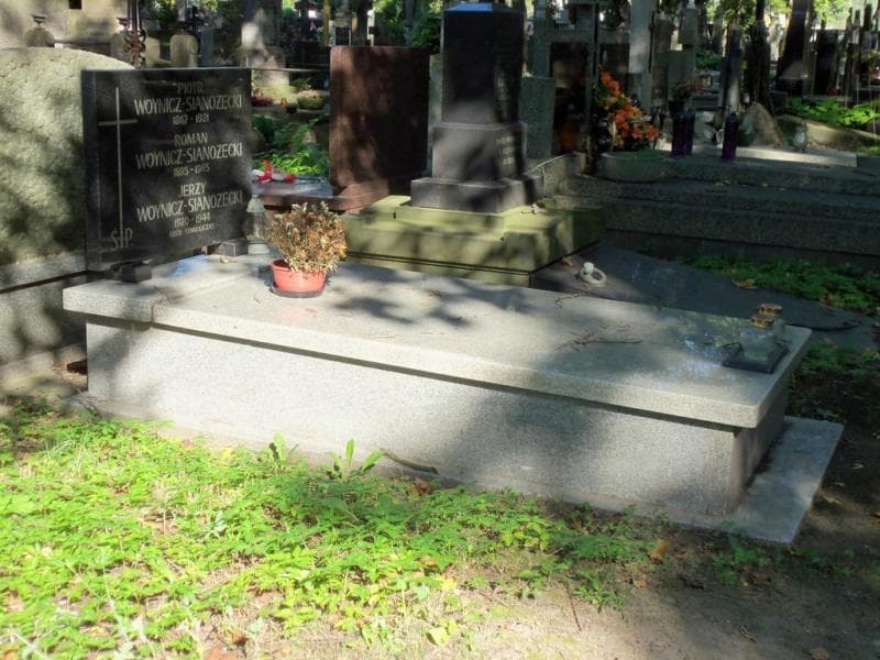 Zdjęcie grobu Jerzy Woynicz-Sianożęcki (1)