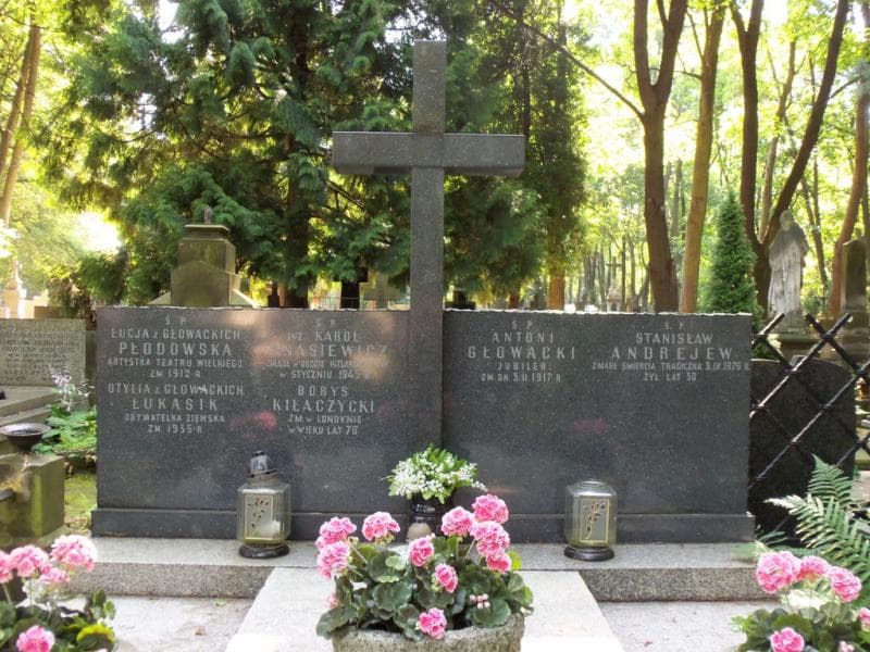 Zdjęcie grobu Karol Anasiewicz (2)