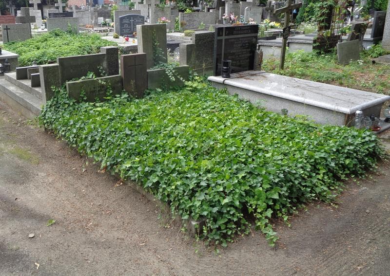 Zdjęcie grobu: Zofia Piestrzyńska