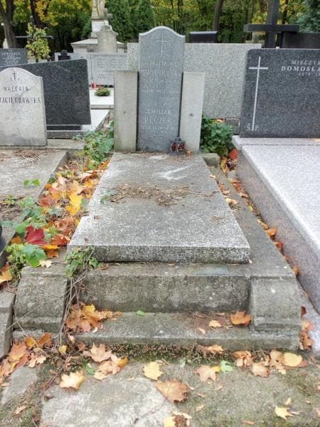 Zdjęcie grobu: Maria Dulska