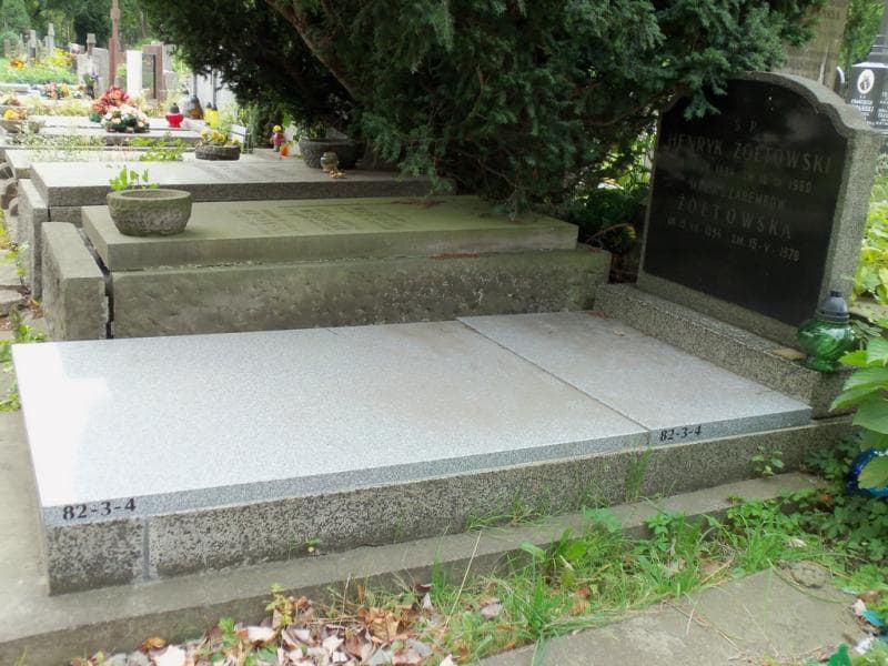 Zdjęcie grobu Henryk Żółtowski (1)