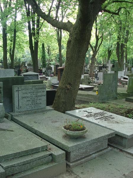 Zdjęcie grobu Zofia Grabiańska (1)