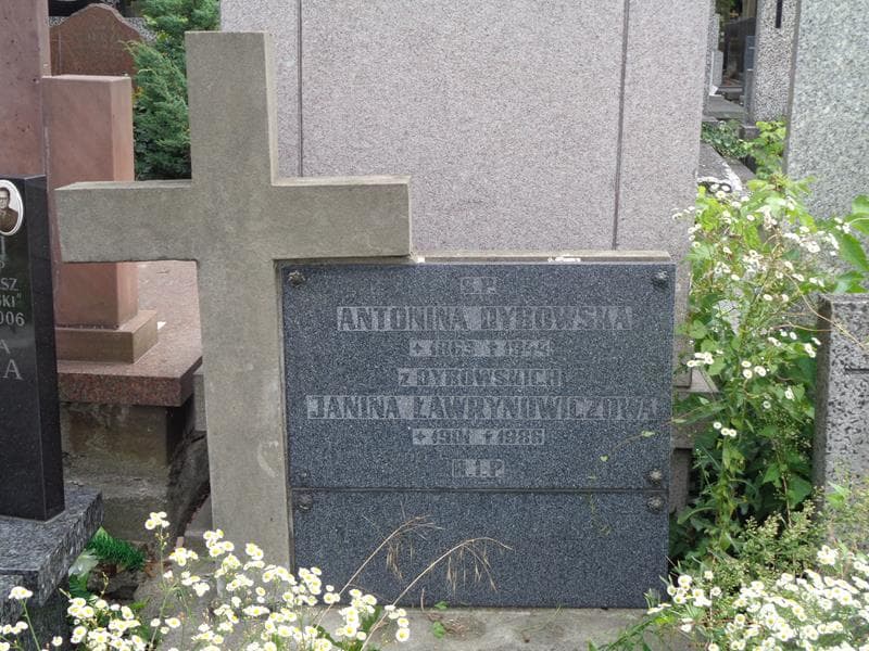 Zdjęcie grobu Antonina Dybowska (2)