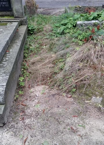 Zdjęcie grobu Pole Grobowe (1)