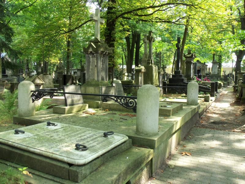 Zdjęcie grobu Anna Flatt (1)